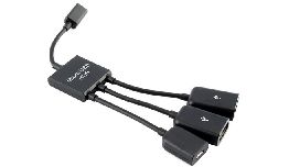 [AIVONETS2] HUB MICRO USB VERS 2 X USB OTG