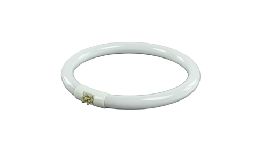 [LALAMP21] CIRCLINE POUR MAGLAMP21